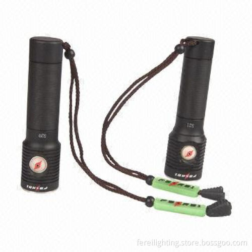 Aluminum LED Torch with 100,000 Hours Lifespan